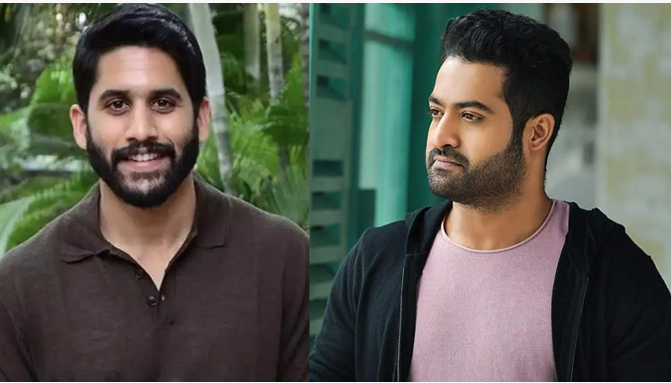 naga chaitanya jr NTR